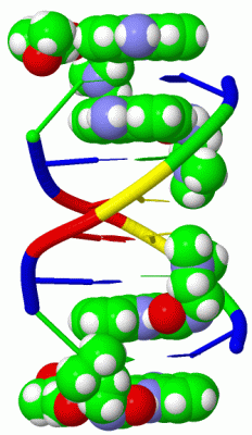 Image Biol.Unit 1 - manually