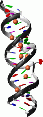 Image Asym./Biol. Unit - manually