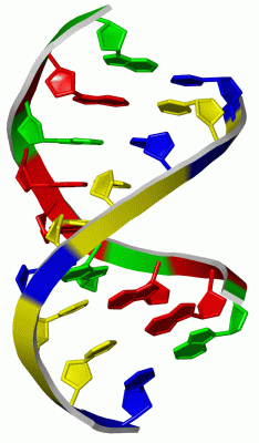 Image Asym./Biol. Unit - manually