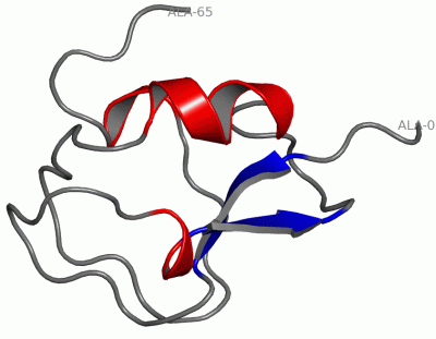 Image Asym./Biol. Unit - manually