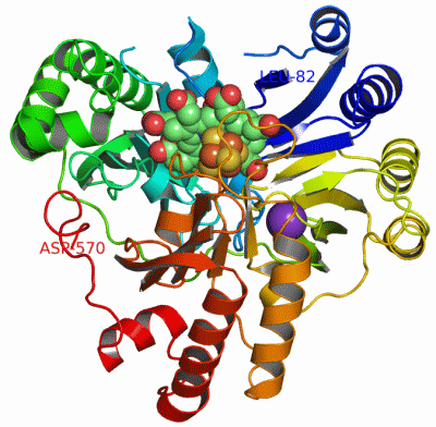 Image Asym./Biol. Unit - manually