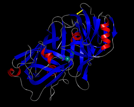 Image Asym./Biol. Unit - manually