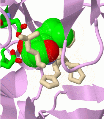 Image Asym./Biol. Unit - manually