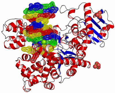 Image Asym./Biol. Unit - manually