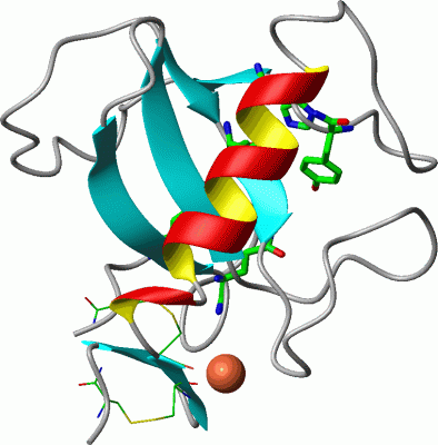 Image Asym./Biol. Unit - manually