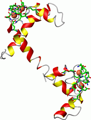 Image Asym./Biol. Unit - manually