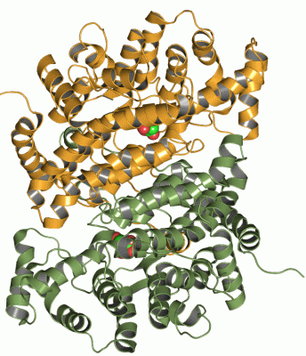 Image Asym./Biol. Unit - manually