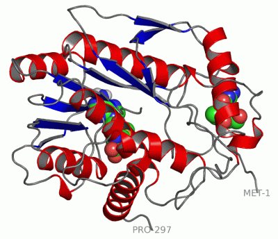 Image Asym./Biol. Unit - manually