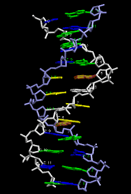 Image Asym./Biol. Unit - manually