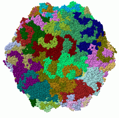 Image Biol.Unit 1 - manually