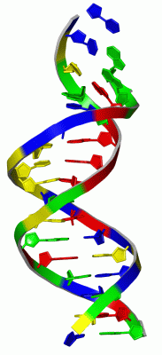 Image NMR Structure - manually