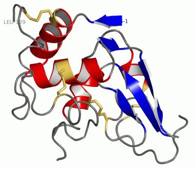 Image Asym./Biol. Unit - manually