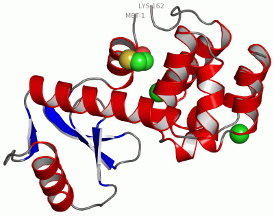 Image Asym./Biol. Unit - manually