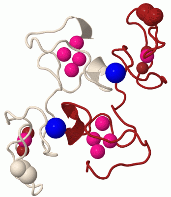 Image Biol.Unit 1 - manually