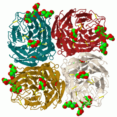 Image Biol.Unit 1 - manually