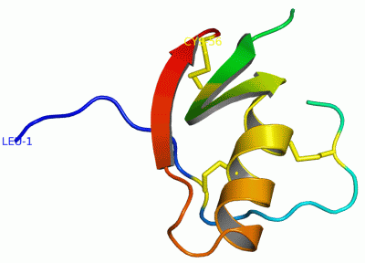 Image Asym.Unit - manually