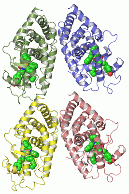 Image Asym./Biol. Unit - manually