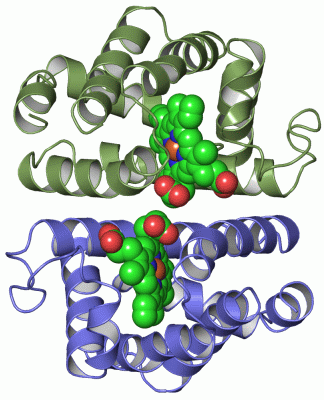 Image Asym./Biol. Unit - manually