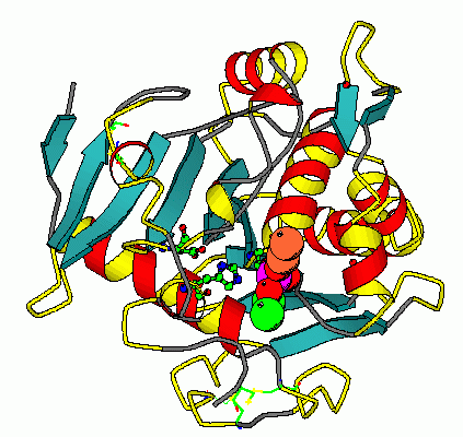 Image Asym./Biol. Unit - manually