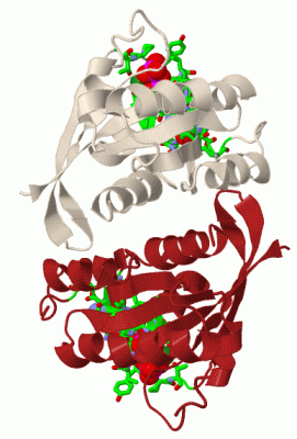 Image Biol.Unit 1 - manually