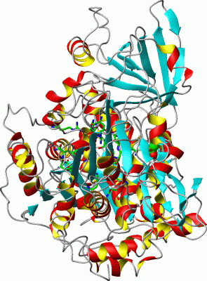 Image Asym./Biol. Unit - manually