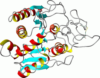 Image Asym./Biol. Unit - manually