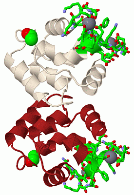 Image Biol.Unit 1 - manually