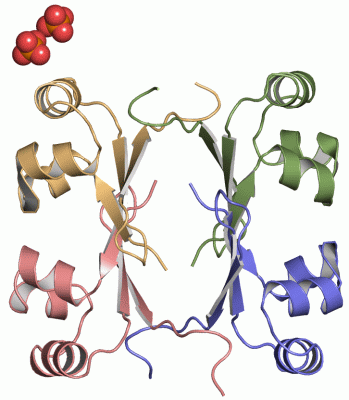 Image Asym.Unit - manually