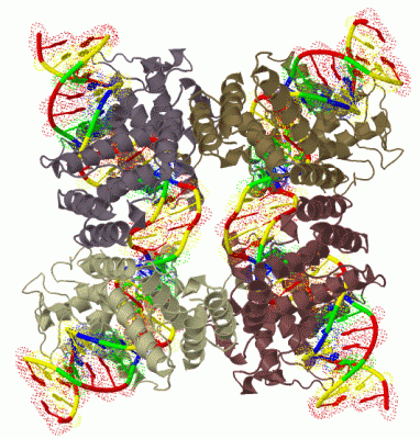 Image Biol.Unit 1 - manually