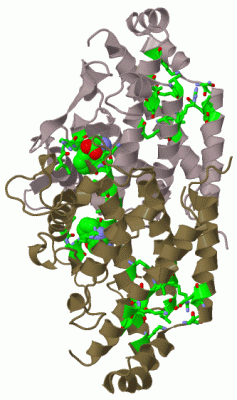 Image Biol.Unit 1 - manually