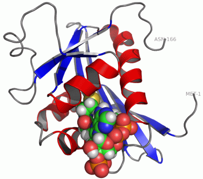 Image NMR Structure - manually