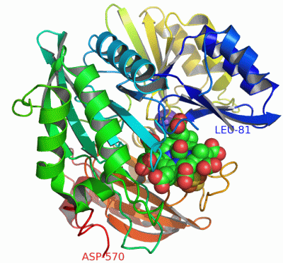 Image Asym./Biol. Unit - manually