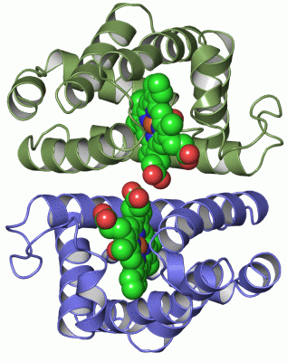 Image Asym./Biol. Unit - manually