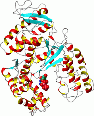 Image Asym./Biol. Unit - manually