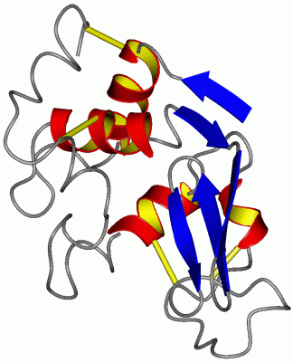 Image Asym./Biol. Unit - manually