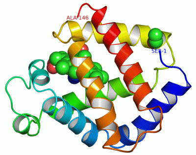 Image Asym./Biol. Unit - manually