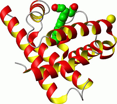 Image Asym./Biol. Unit - manually