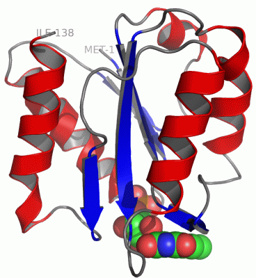 Image Asym./Biol. Unit - manually