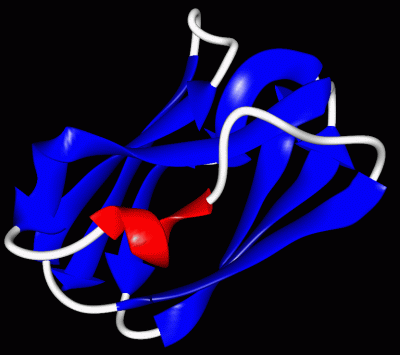 Image Asym./Biol. Unit - manually