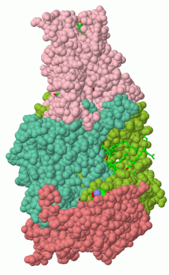 Image Asym./Biol. Unit - manually