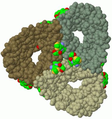 Image Biol.Unit 1 - manually