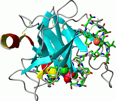 Image Asym./Biol. Unit - manually