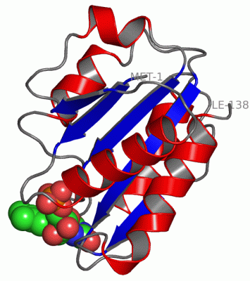 Image Asym./Biol. Unit - manually