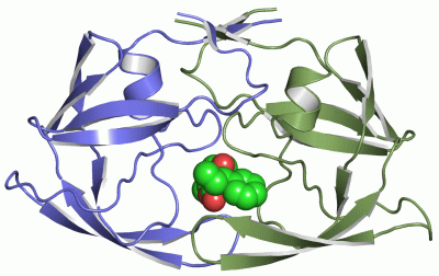 Image Asym./Biol. Unit - manually