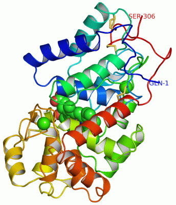 Image Asym./Biol. Unit - manually