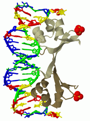 Image Biol.Unit 1 - manually