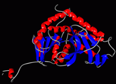 Image Asym.Unit - manually