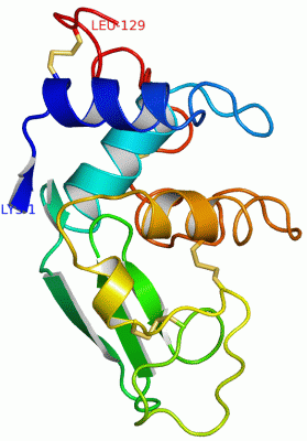 Image Asym./Biol. Unit - manually