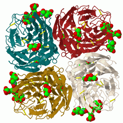 Image Biol.Unit 1 - manually