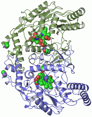 Image Asym./Biol. Unit - manually